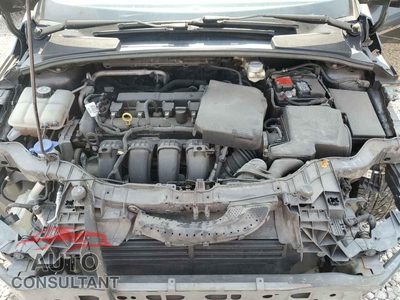 FORD FOCUS 2017 - 1FADP3F24HL288404