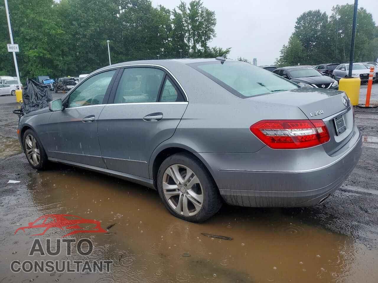 MERCEDES-BENZ E-CLASS 2010 - WDDHF8HB5AA189087