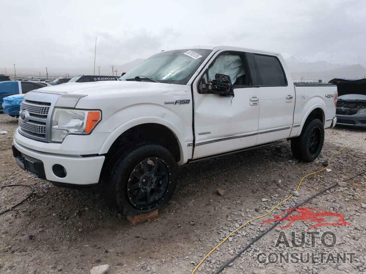 FORD F-150 2012 - 1FTFW1ET8CFA16241