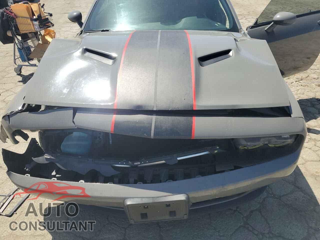 DODGE CHALLENGER 2017 - 2C3CDZAG4HH657865