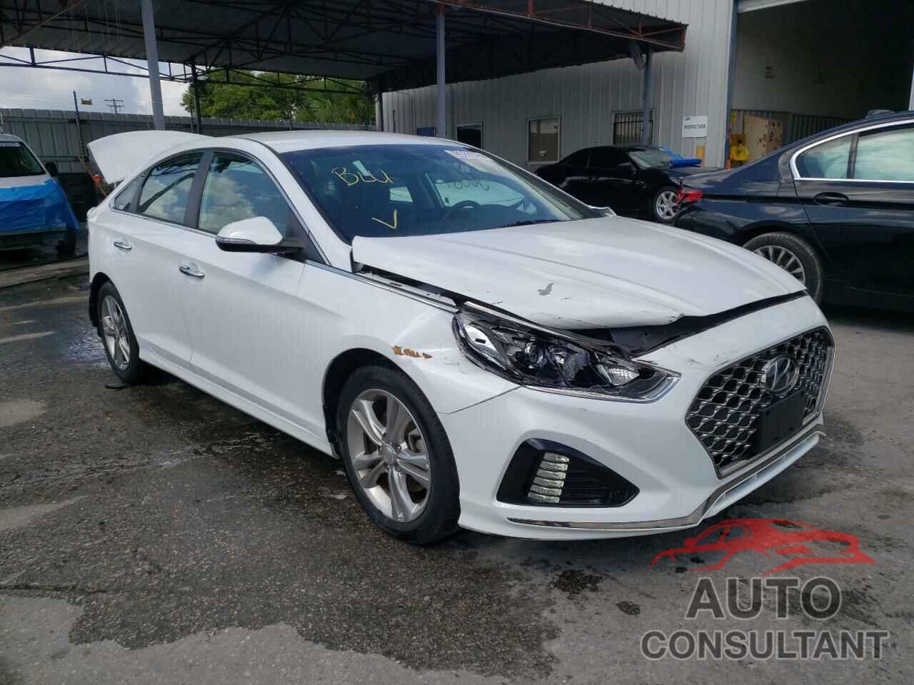 HYUNDAI SONATA 2019 - 5NPE34AF9KH775393