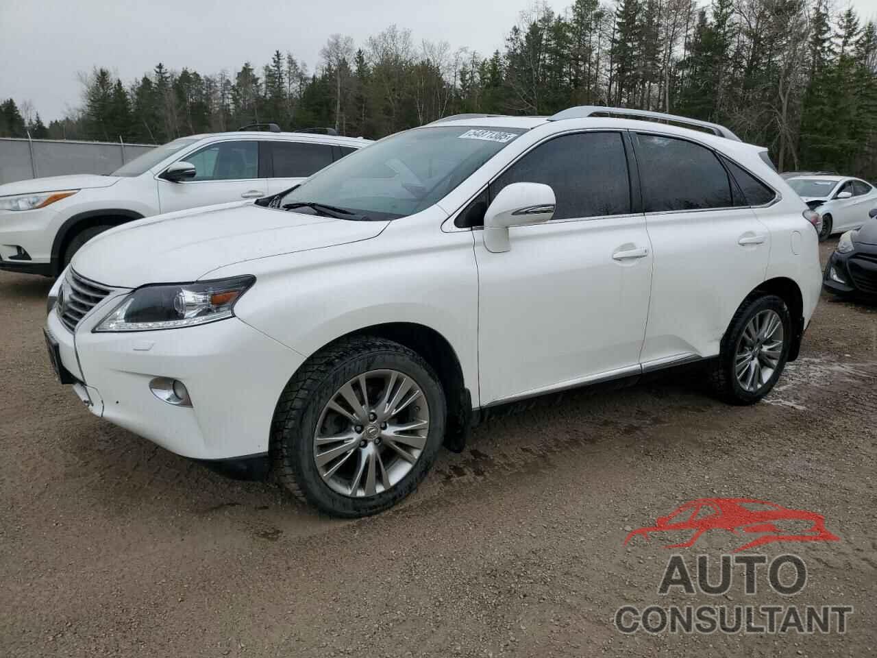 LEXUS RX350 2013 - 2T2BK1BA8DC177515