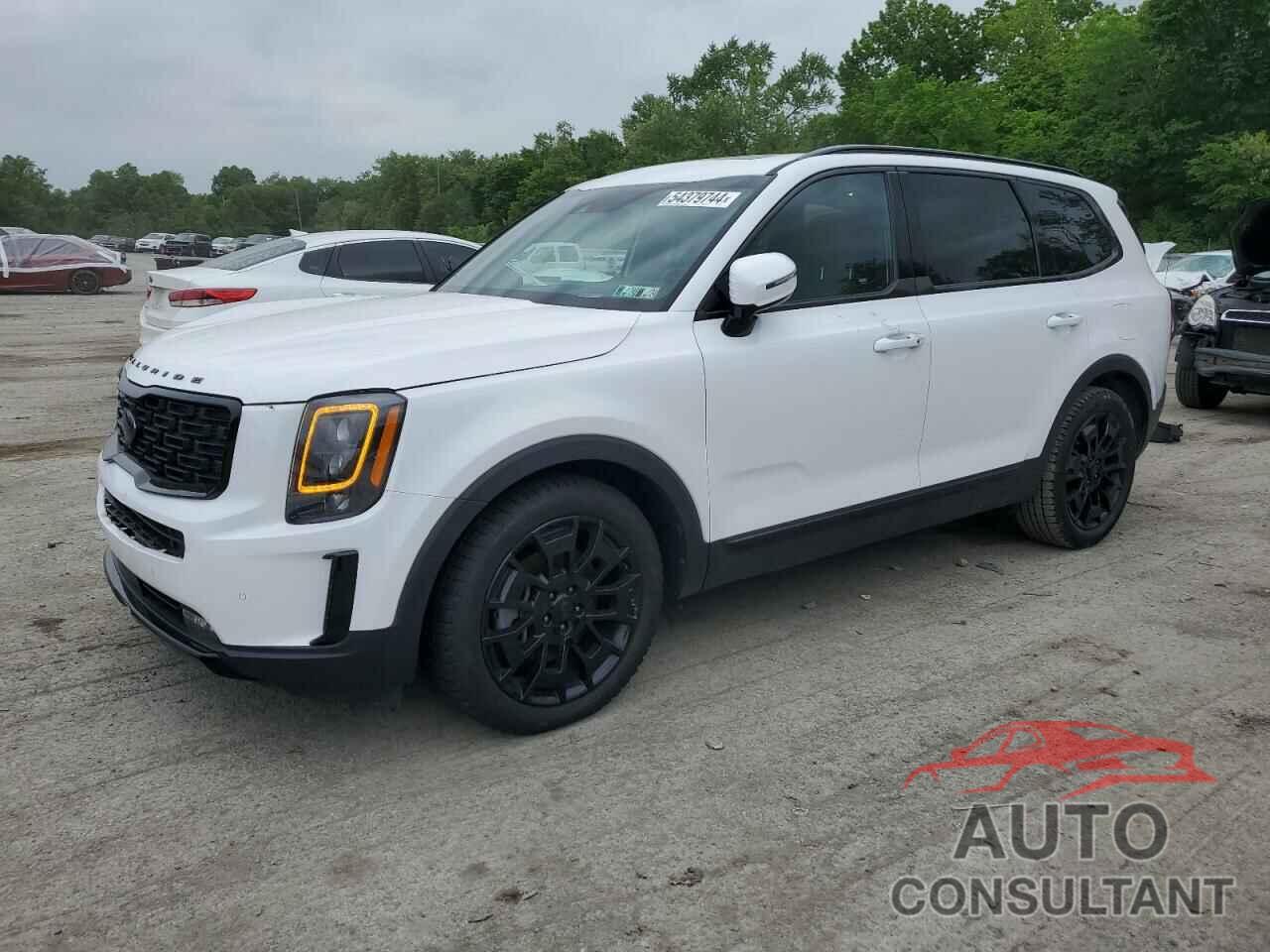 KIA TELLURIDE 2021 - 5XYP5DHC8MG149780