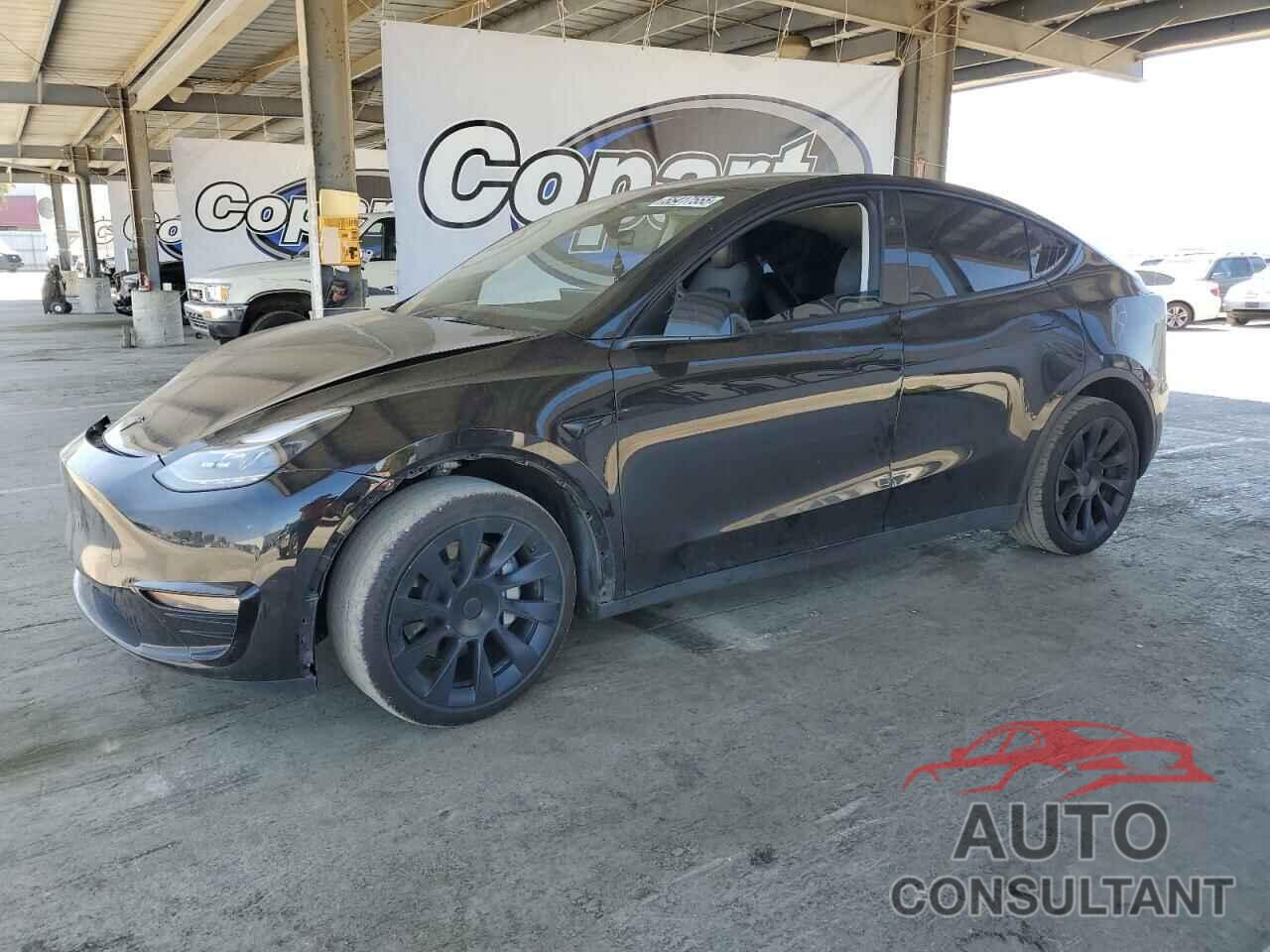 TESLA MODEL Y 2024 - 7SAYGDEE8RF983280