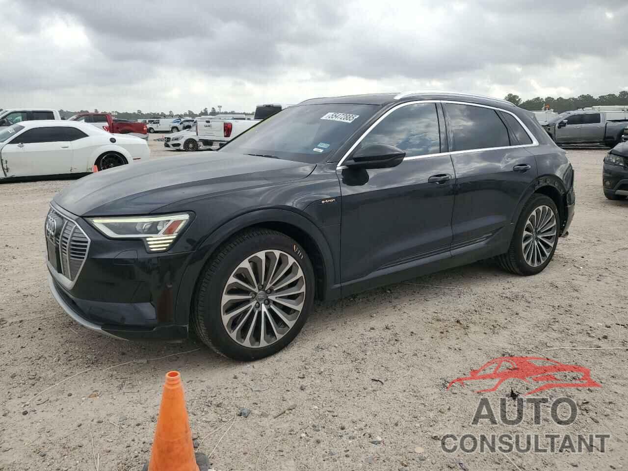 AUDI E-TRON 2019 - WA1VABGE4KB021614