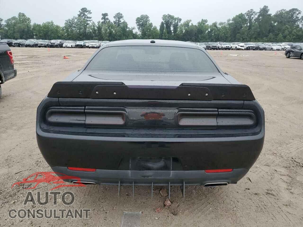 DODGE CHALLENGER 2019 - 2C3CDZAG8KH751335
