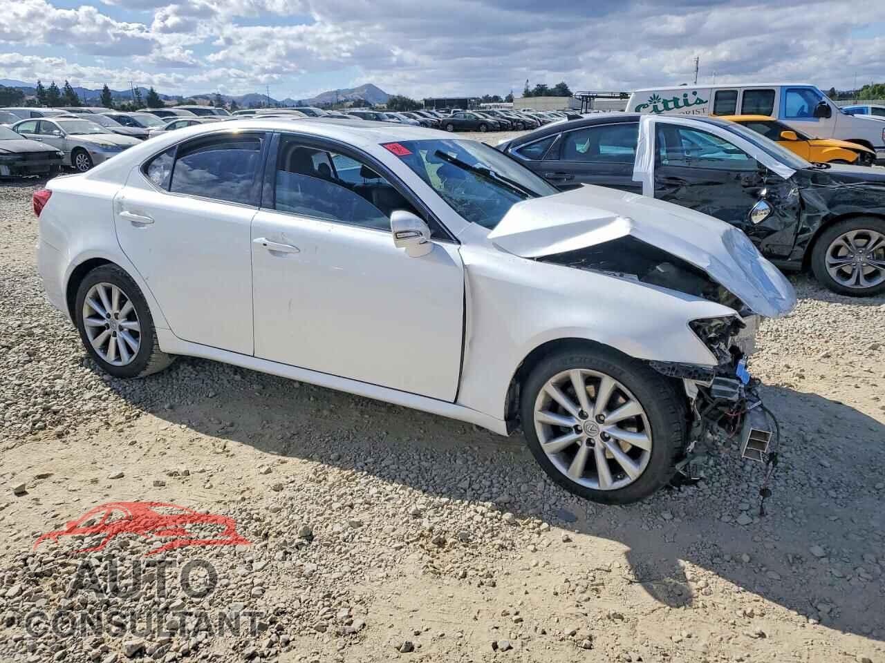 LEXUS IS 2009 - JTHBK262392084158