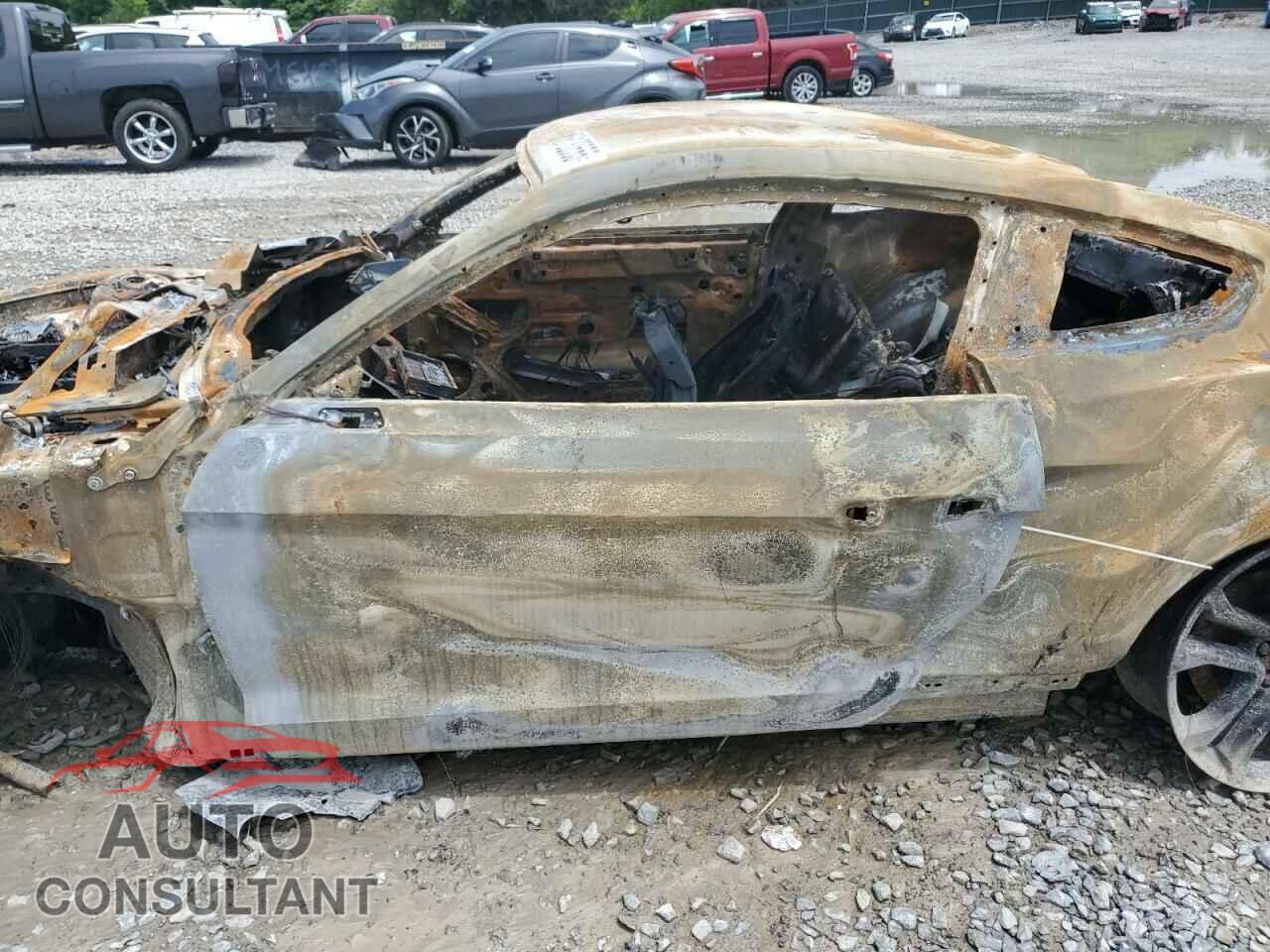 FORD MUSTANG 2019 - 1FA6P8CF3K5199495