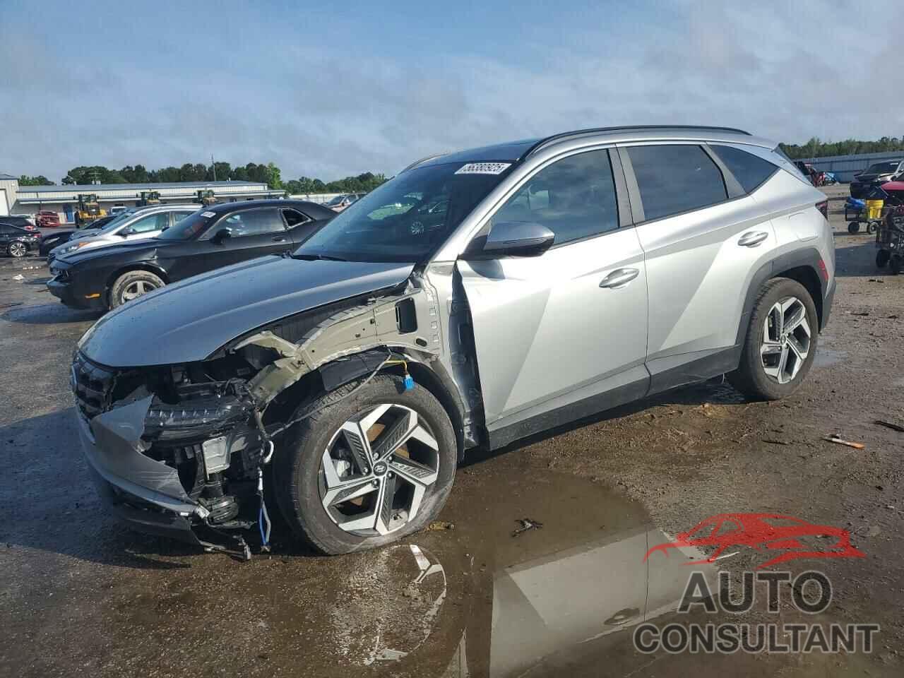 HYUNDAI TUCSON 2024 - 5NMJF3DE6RH313917