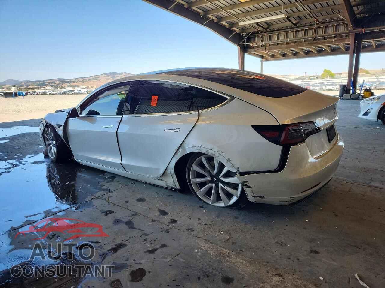 TESLA MODEL 3 2019 - 5YJ3E1EB8KF421841