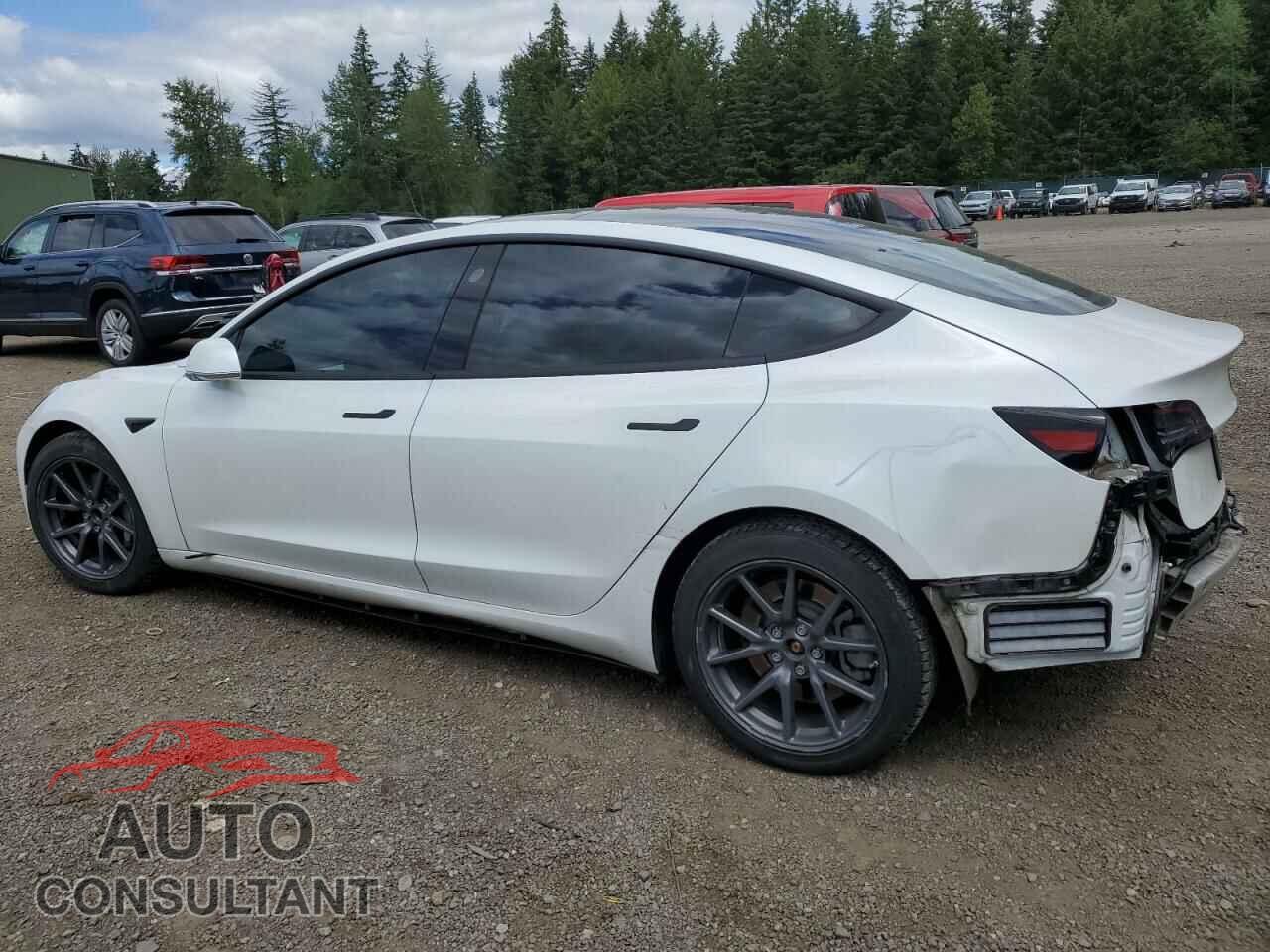 TESLA MODEL 3 2019 - 5YJ3E1EA3KF444886