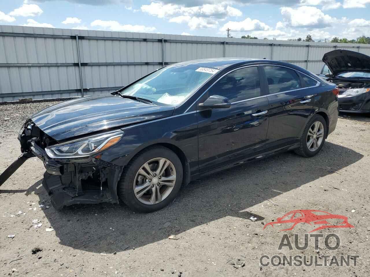 HYUNDAI SONATA 2019 - 5NPE34AF6KH809015