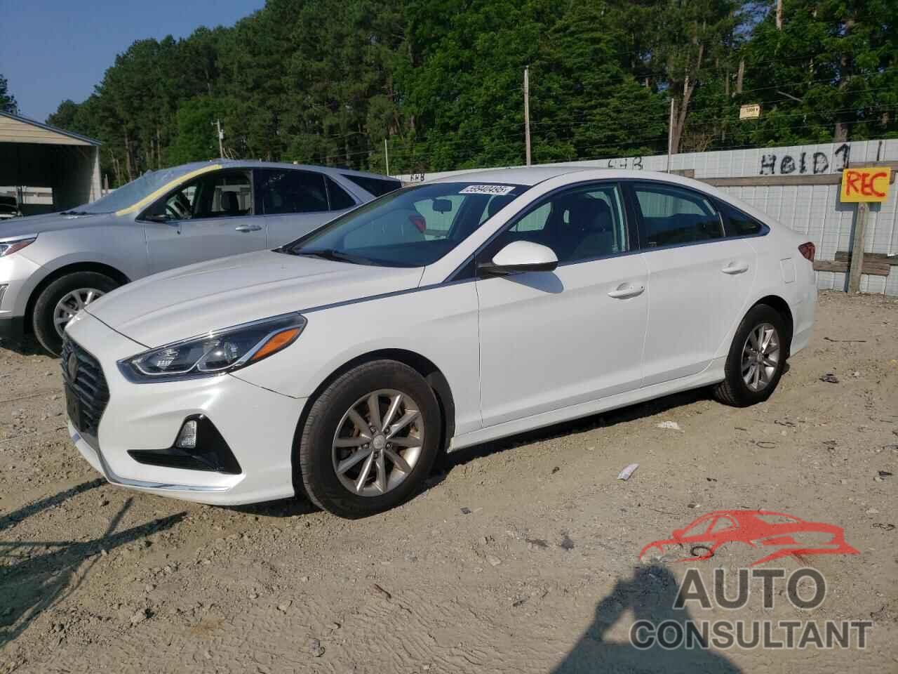 HYUNDAI SONATA 2019 - 5NPE24AF1KH786228