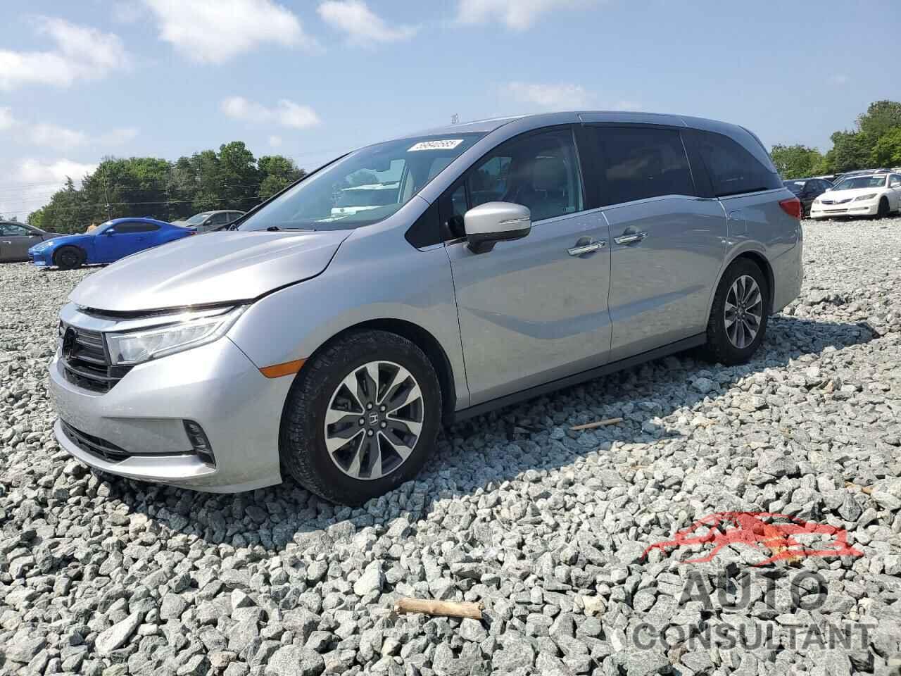 HONDA All Models 2022 - 5FNRL6H75NB041719