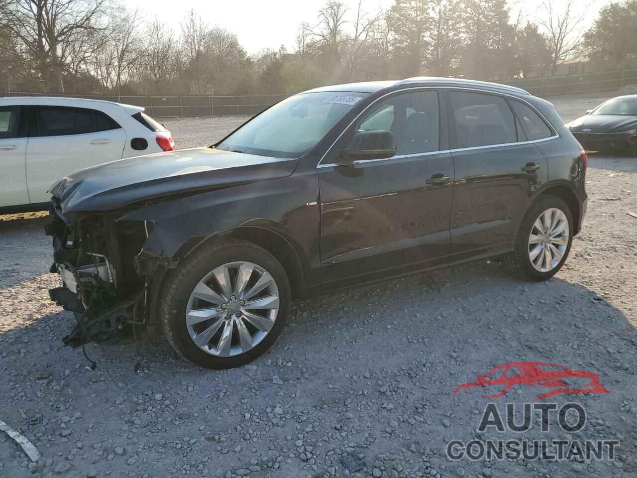 AUDI Q5 2010 - WA1WKAFP4AA093013
