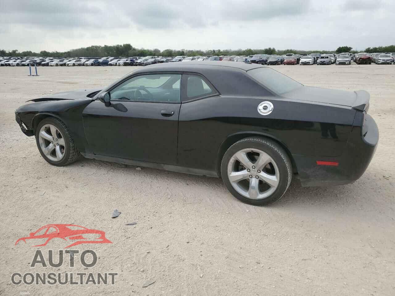 DODGE CHALLENGER 2013 - 2C3CDYAG1DH628702