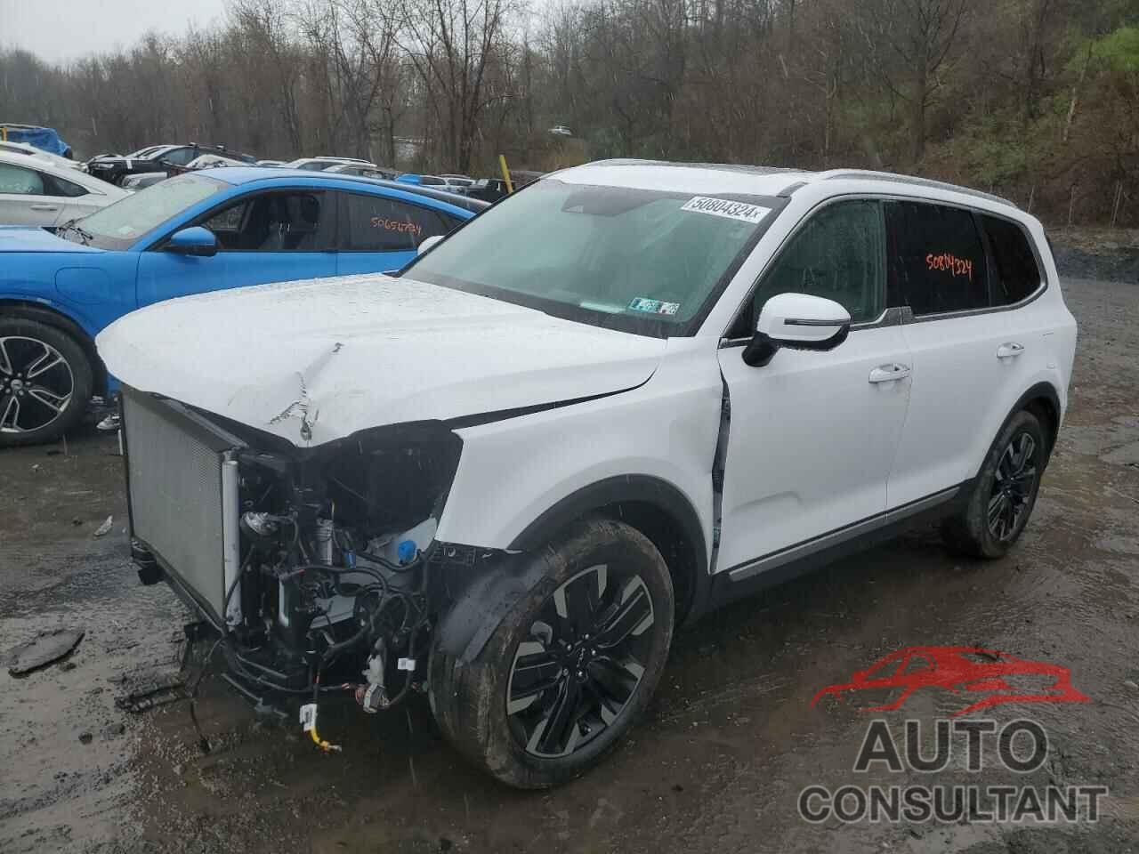 KIA TELLURIDE 2024 - 5XYP5DGC5RG461323