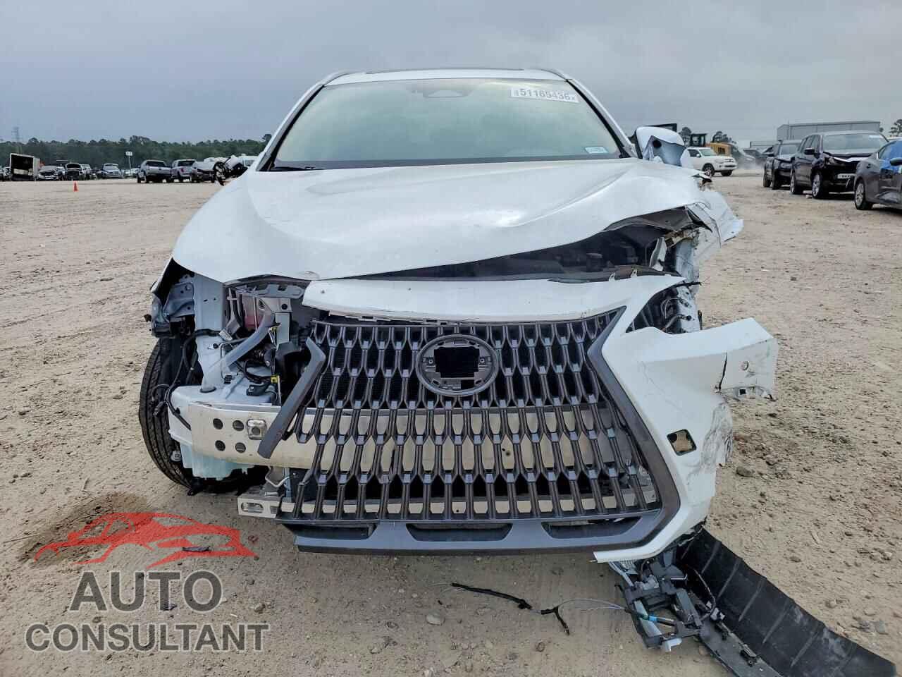 LEXUS UNKNOWN 2026 - 2T2GGCEZXTC097720