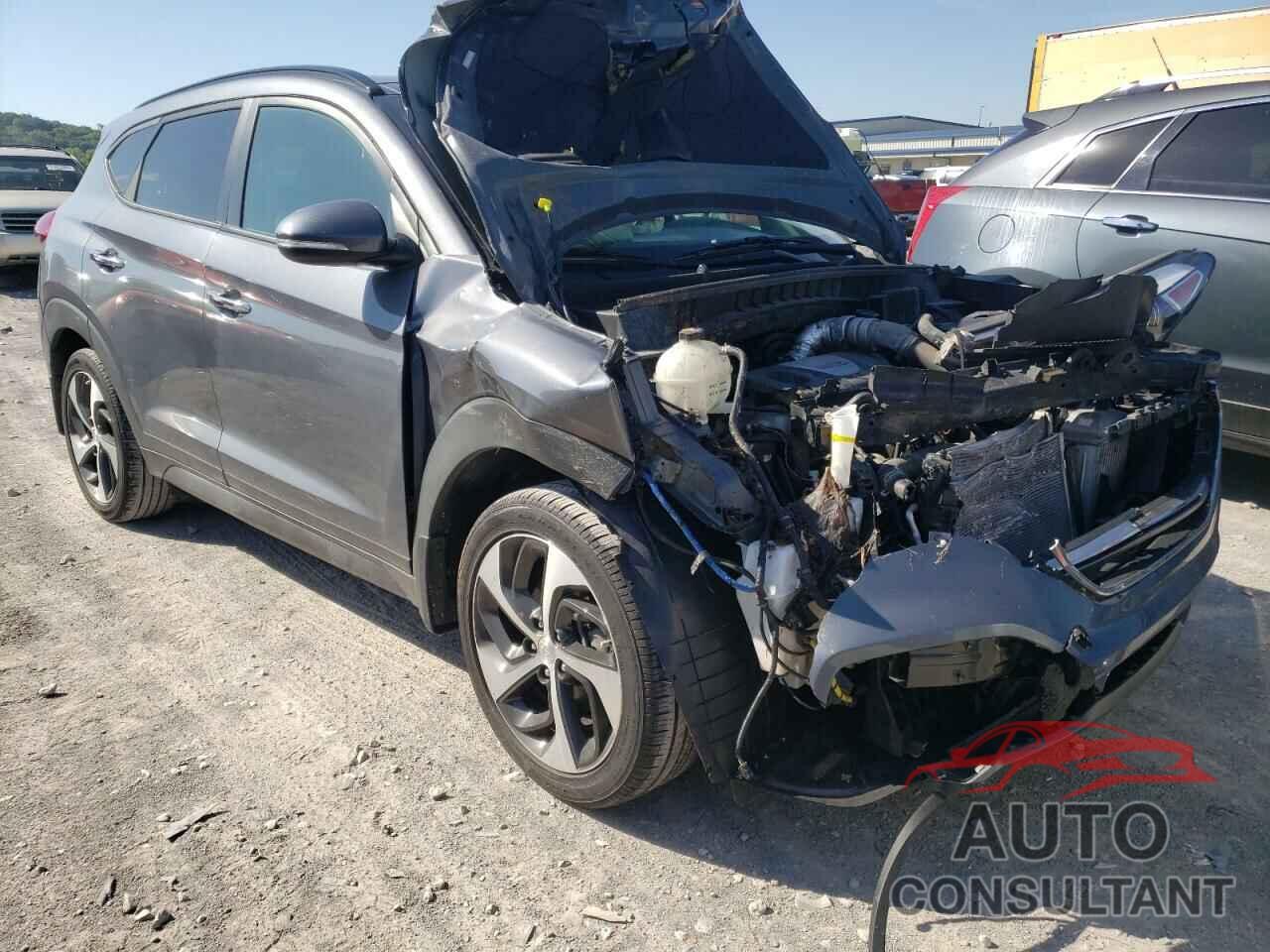 HYUNDAI TUCSON 2016 - KM8J33A21GU114214