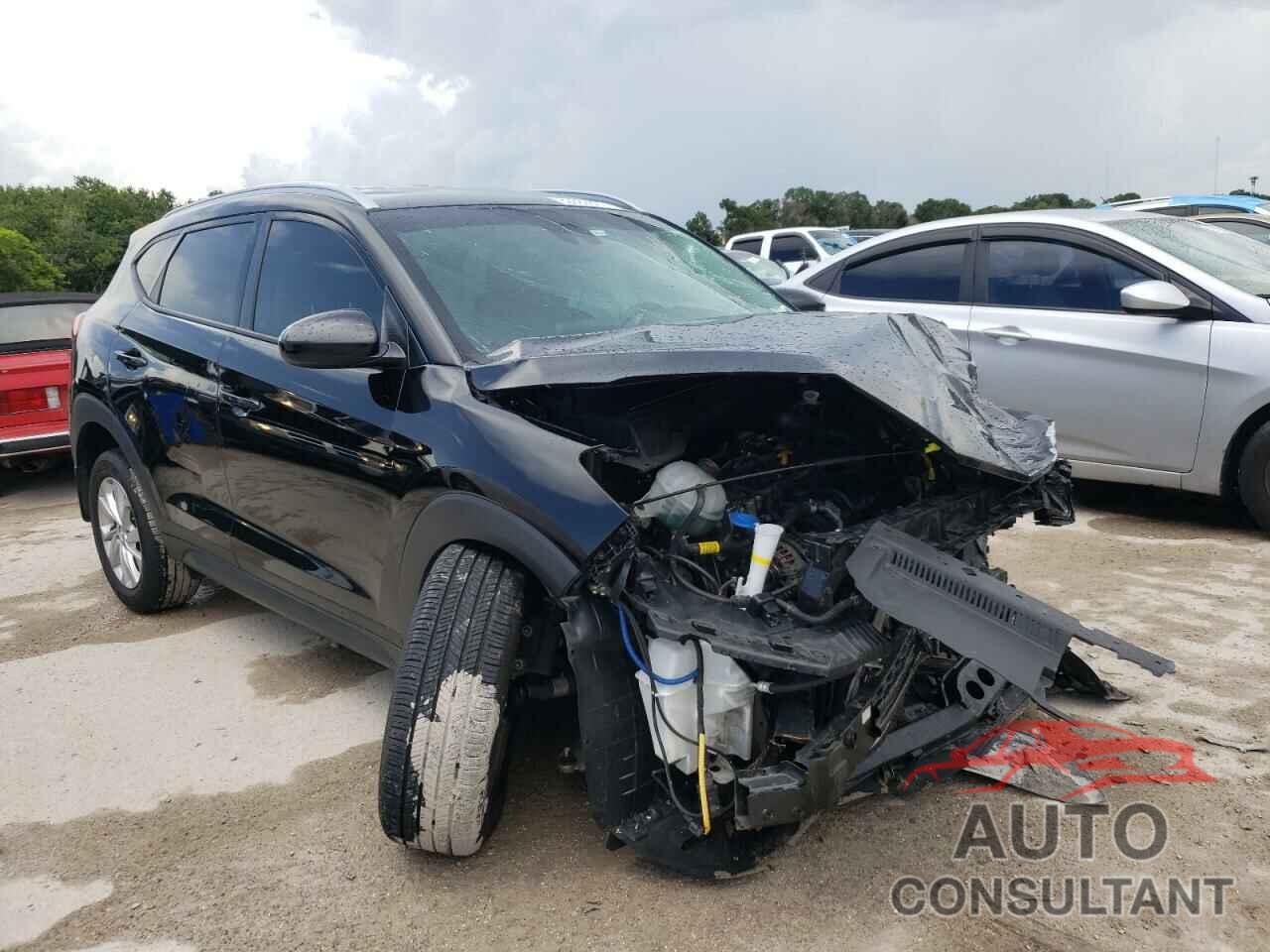 HYUNDAI TUCSON 2019 - KM8J33A41KU997516
