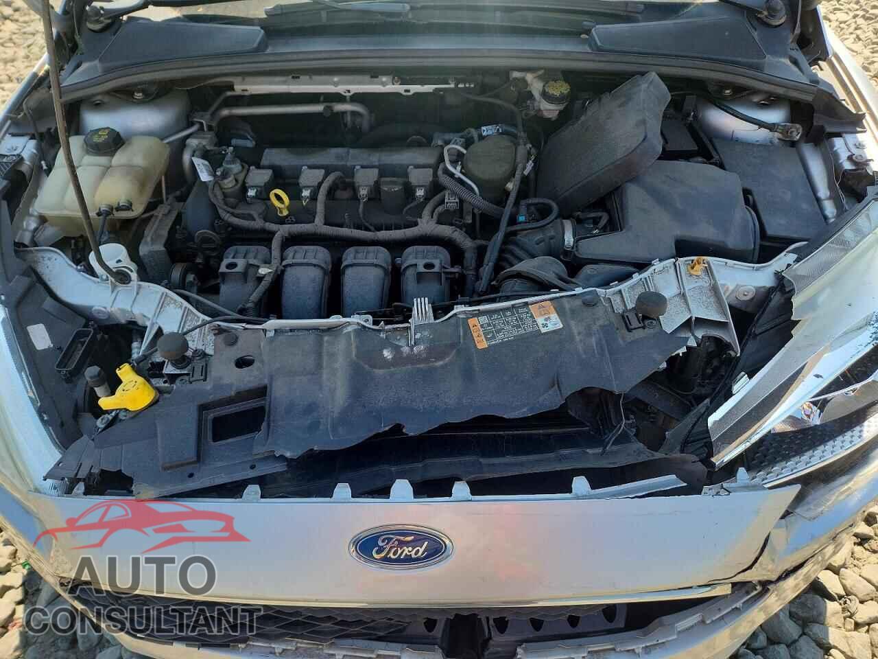 FORD FOCUS 2016 - 1FADP3K23GL282954