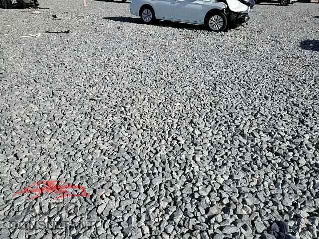 DODGE CHALLENGER 2019 - 2C3CDZAG5KH522014