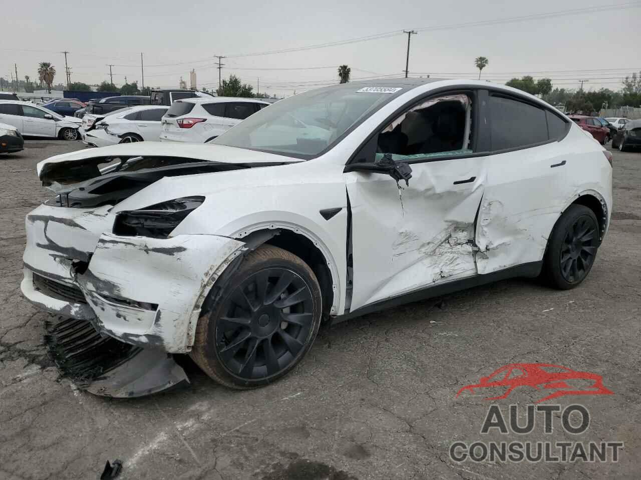 TESLA MODEL Y 2023 - 7SAYGDEEXPA042715