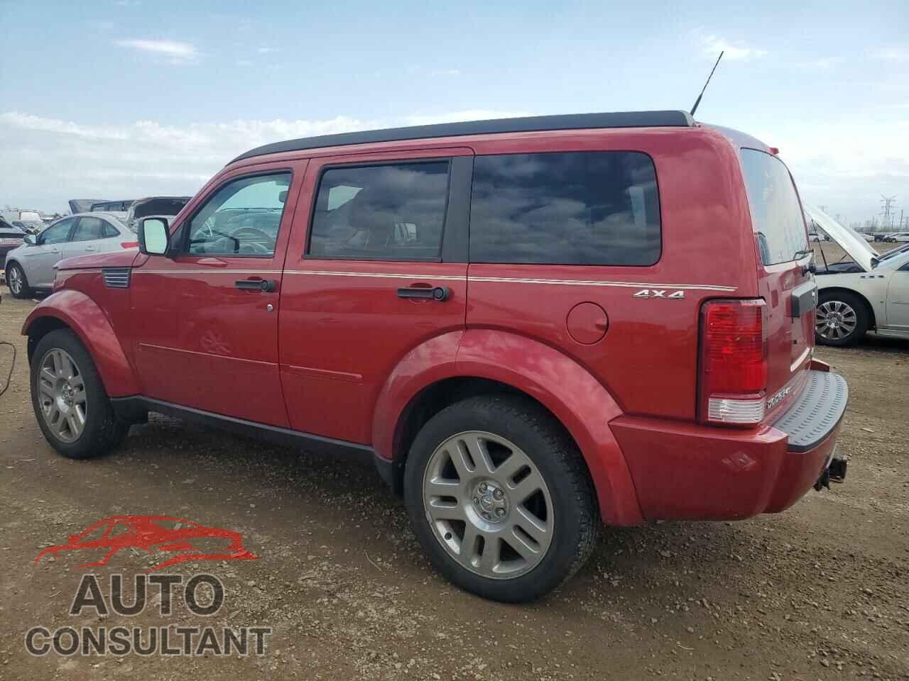 DODGE NITRO 2011 - 1D4PU4GX2BW504453