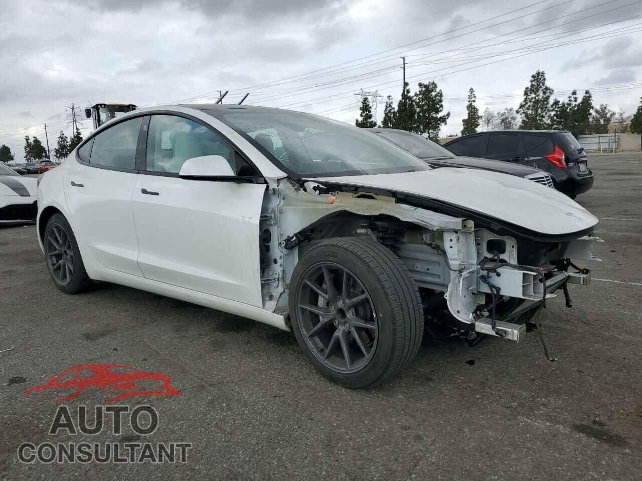 TESLA MODEL 3 2021 - 5YJ3E1EA6MF066064