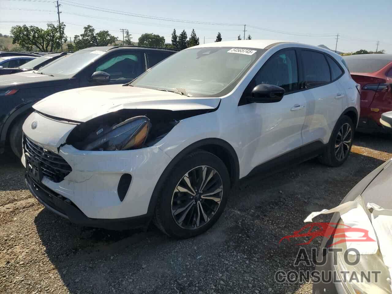 FORD ESCAPE 2022 - 1FMCU0G62NUA27725