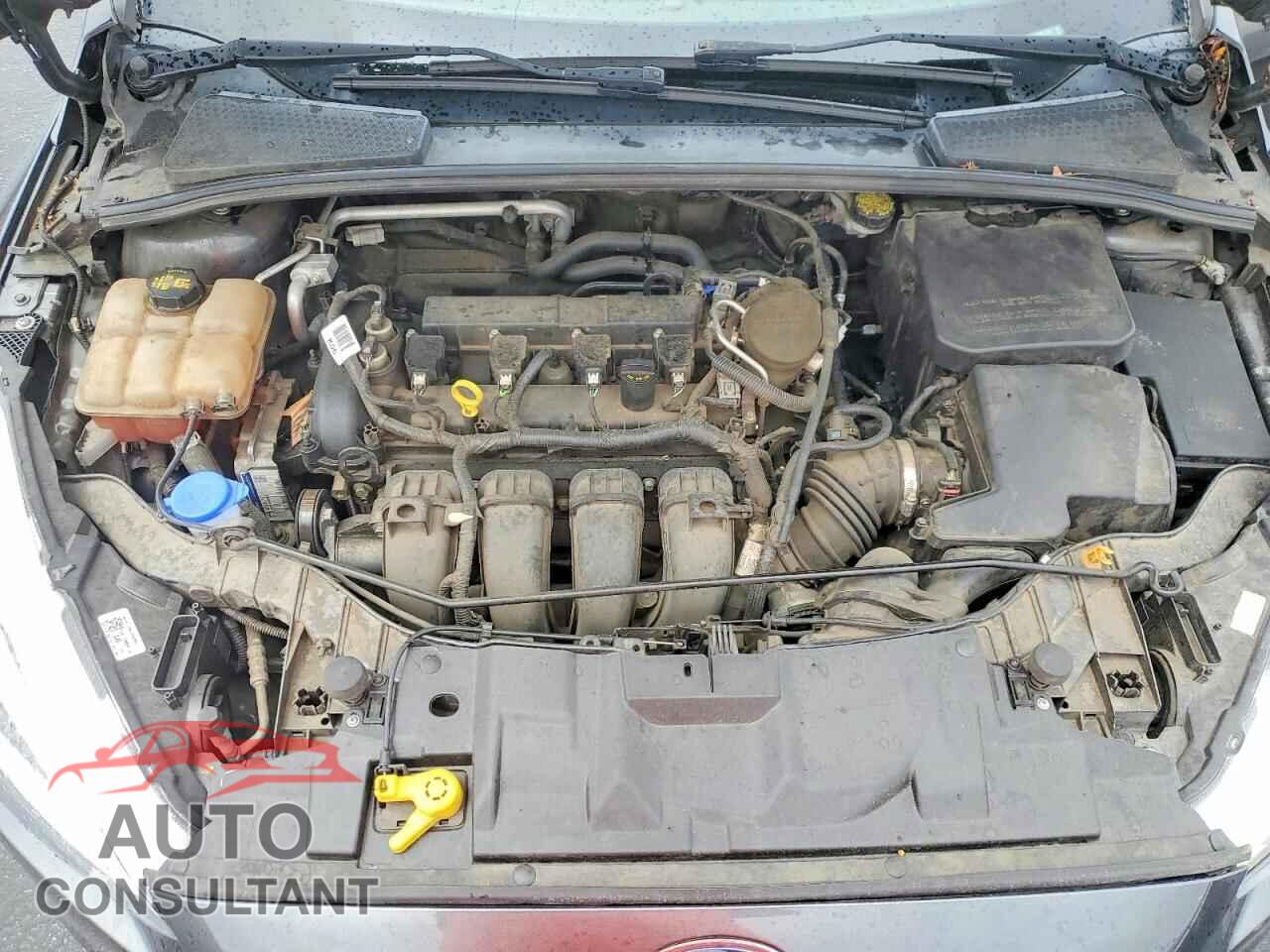 FORD FOCUS 2016 - 1FADP3F28GL301752