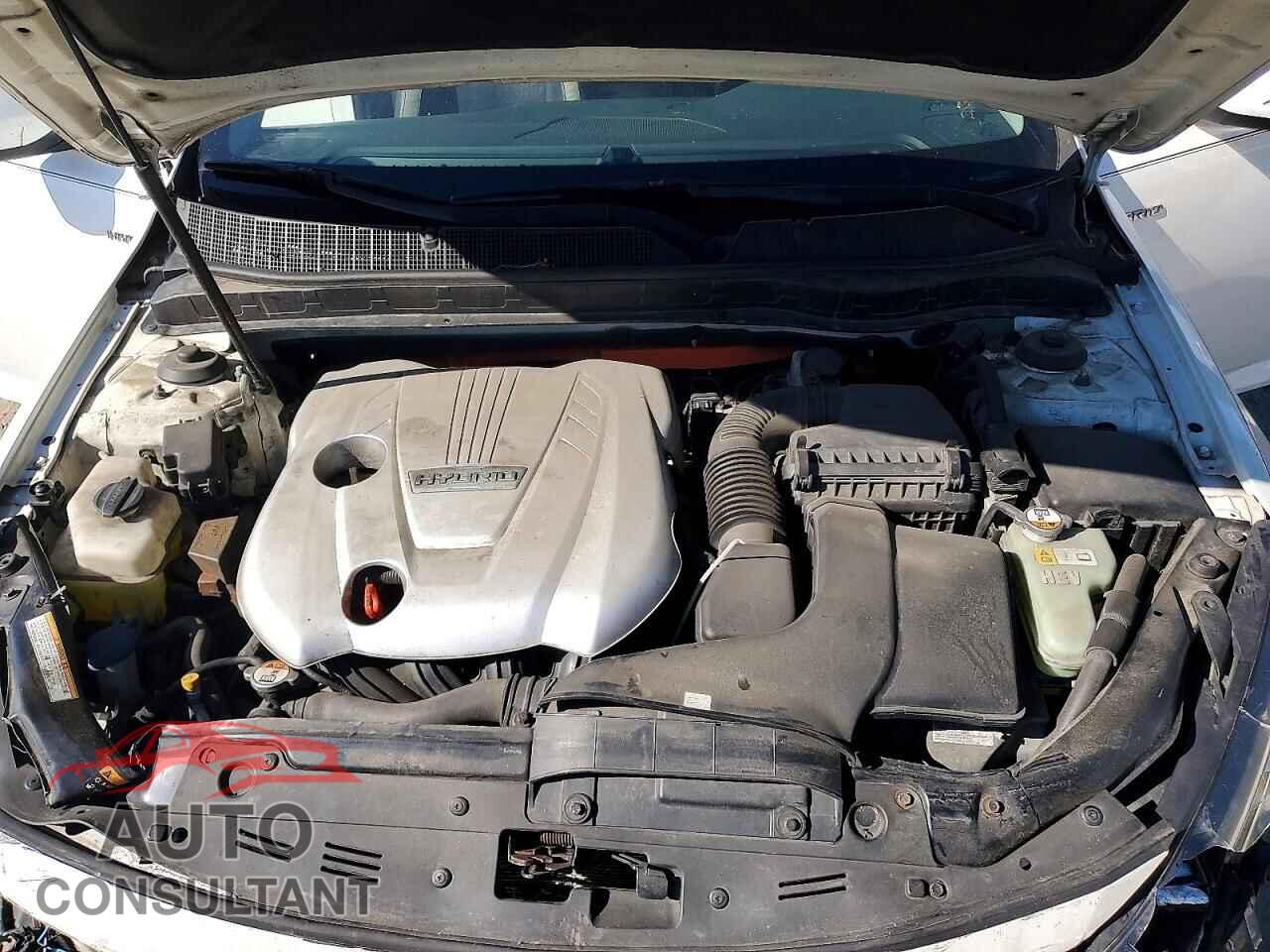 KIA OPTIMA 2013 - KNAGM4AD3D5059352