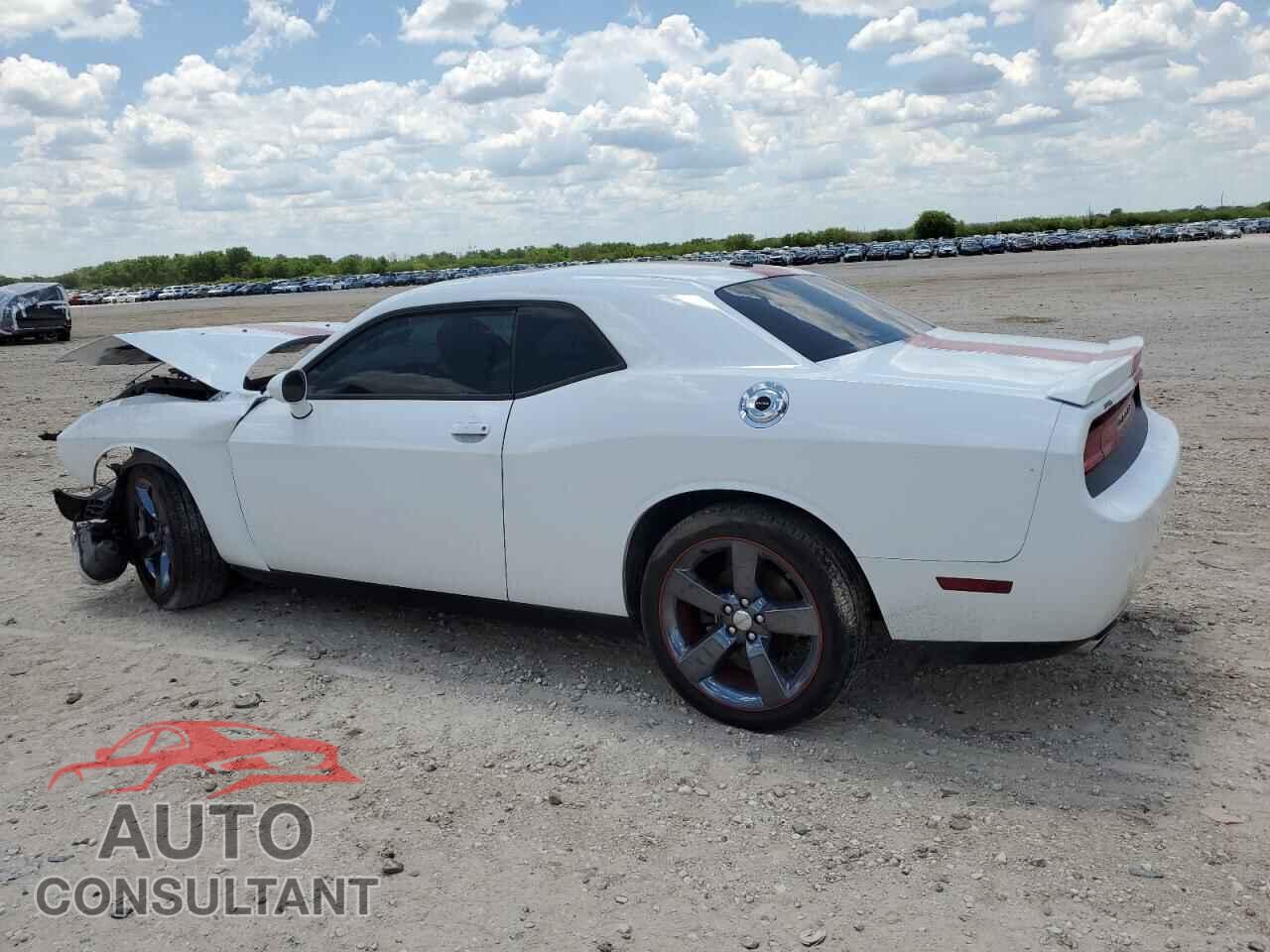 DODGE CHALLENGER 2014 - 2C3CDYAG6EH274063