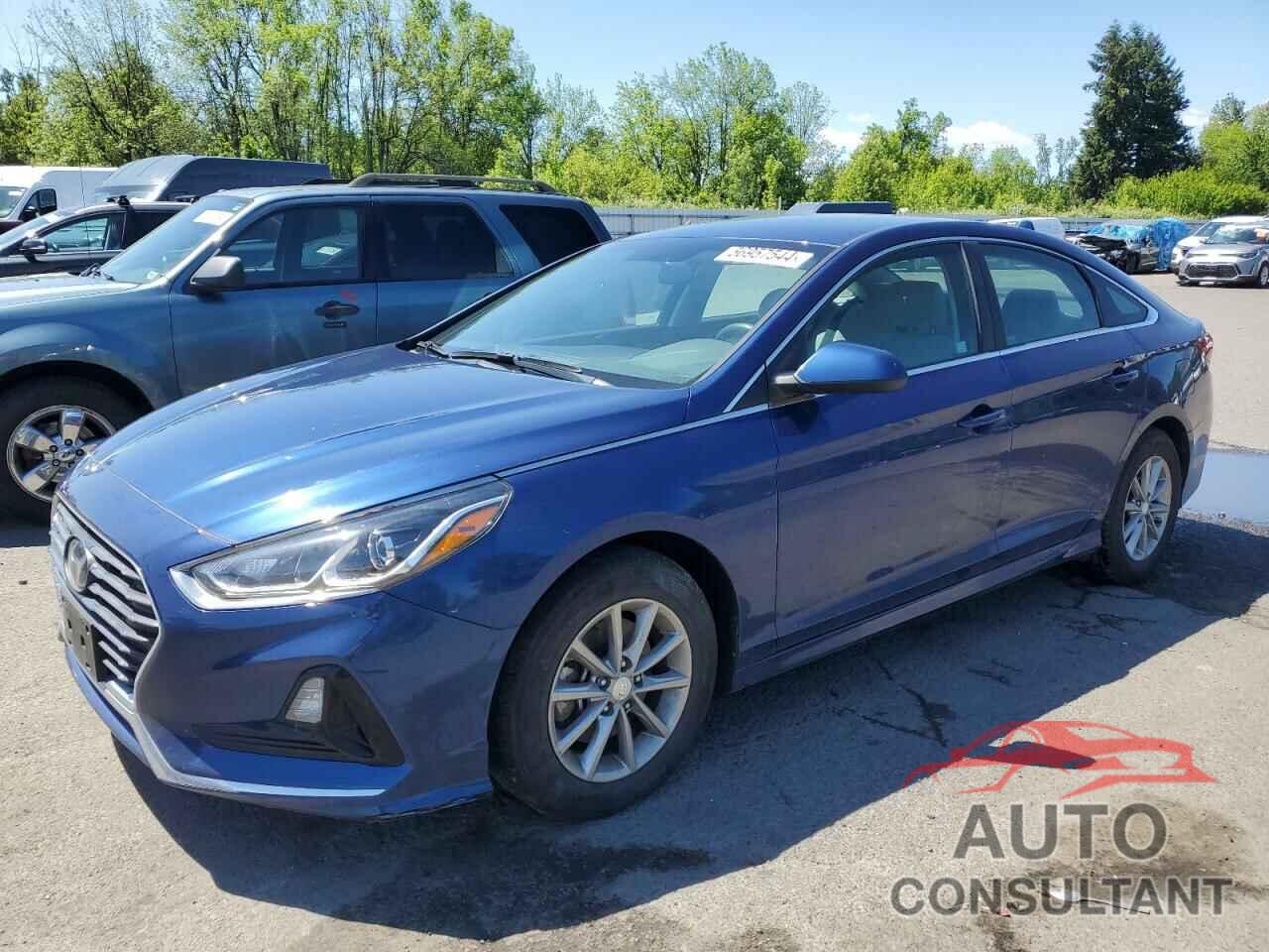 HYUNDAI SONATA 2019 - 5NPE24AF6KH763561