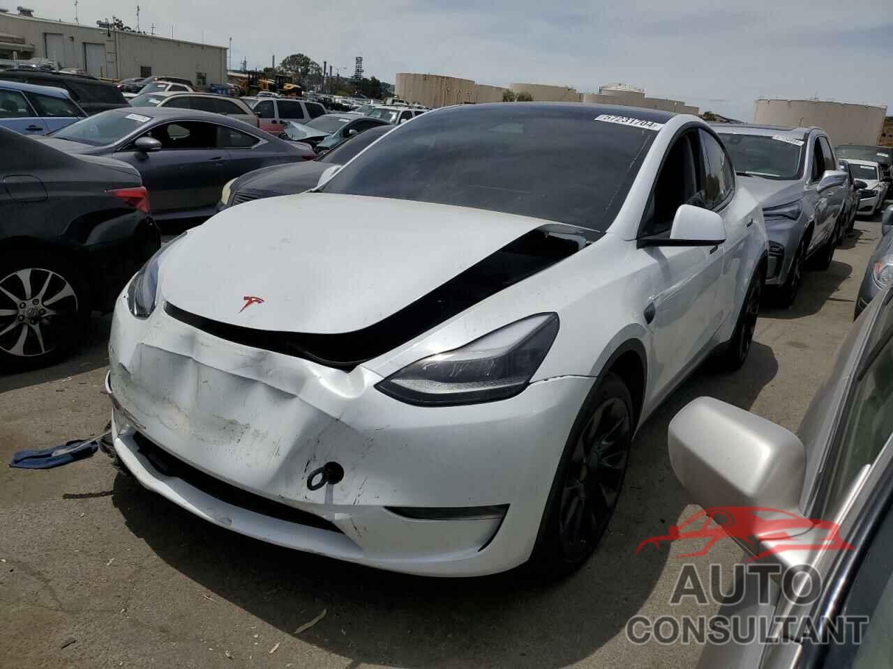 TESLA MODEL Y 2023 - 7SAYGAEE1PF906942