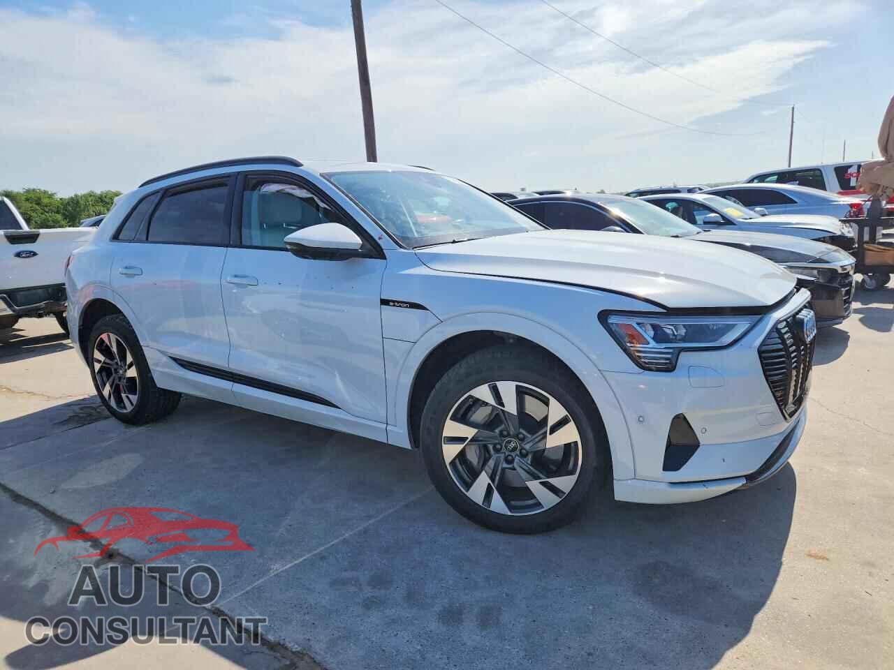 AUDI E-TRON 2022 - WA1AAAGE2NB014321