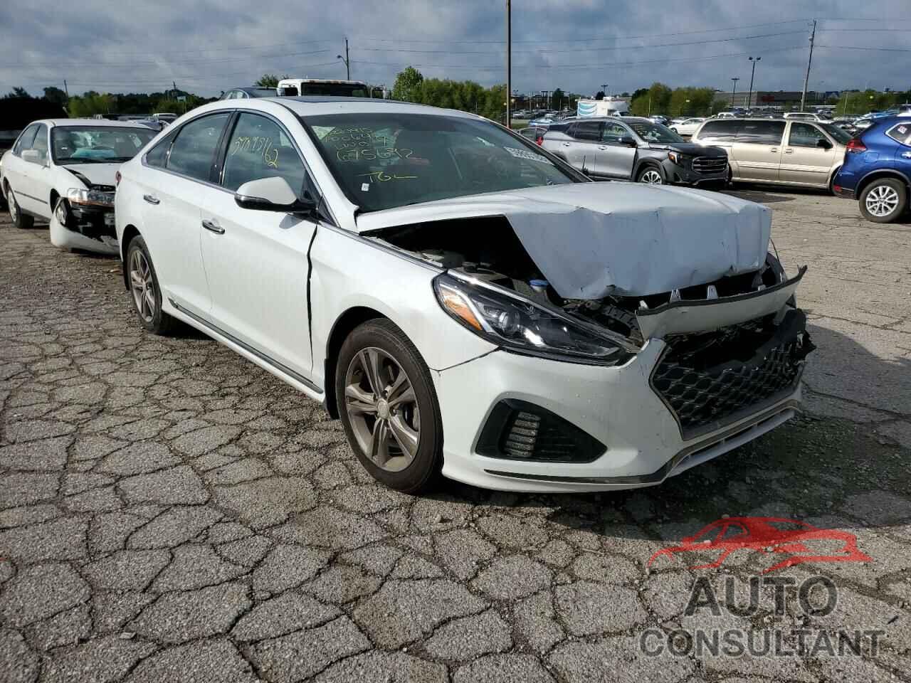 HYUNDAI SONATA 2018 - 5NPE34AF3JH675692
