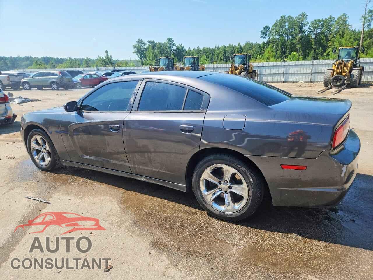 DODGE CHARGER 2014 - 2C3CDXAT3EH348675