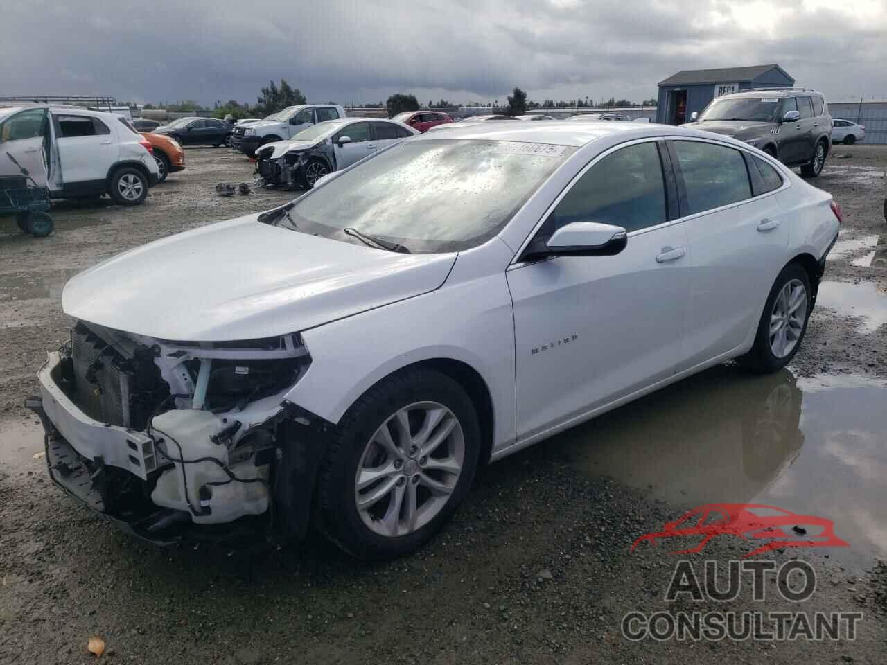 CHEVROLET MALIBU 2016 - 1G1ZE5ST7GF333647