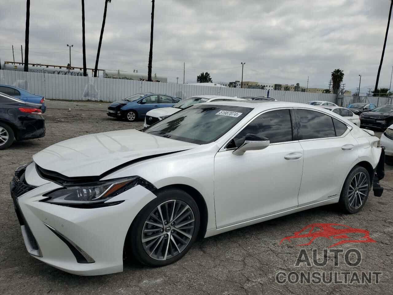 LEXUS ES300 2022 - 58ADA1C19NU013570