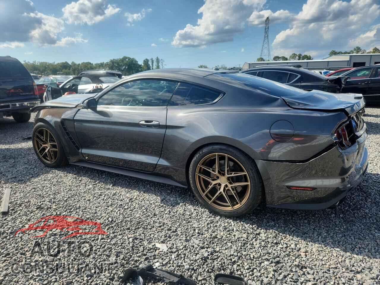 FORD MUSTANG 2019 - 1FA6P8CF5K5138097