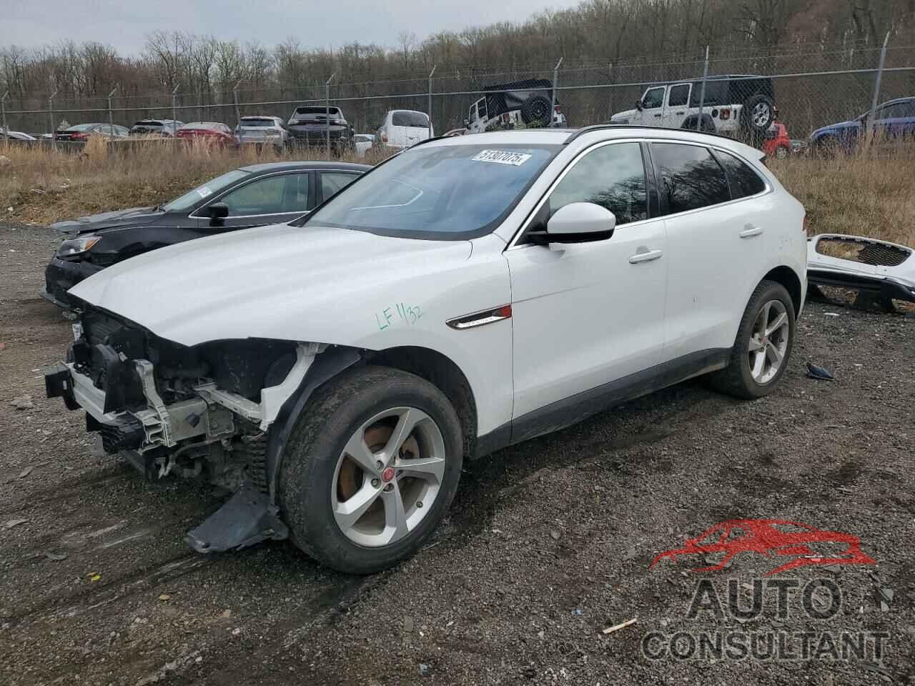 JAGUAR F-PACE 2019 - SADCJ2FX8KA366087