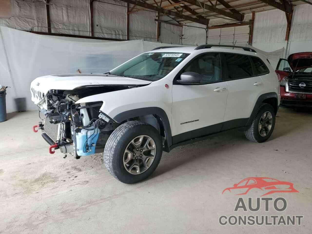 JEEP CHEROKEE 2019 - 1C4PJMBX5KD250701