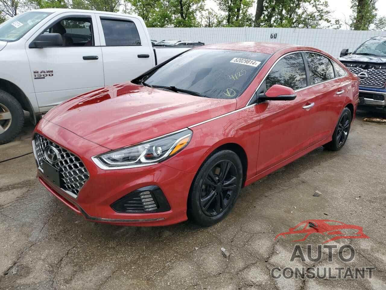 HYUNDAI SONATA 2019 - 5NPE34AF4KH759893