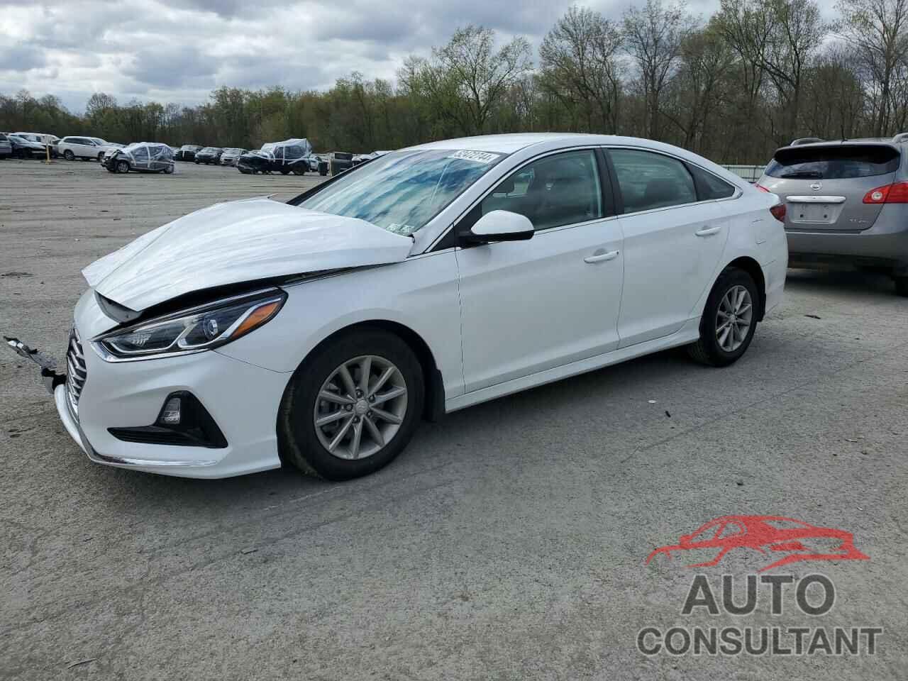 HYUNDAI SONATA 2019 - 5NPE24AF8KH804496