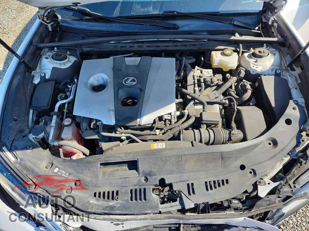 LEXUS ES300 2021 - 58ADA1C16MU002010