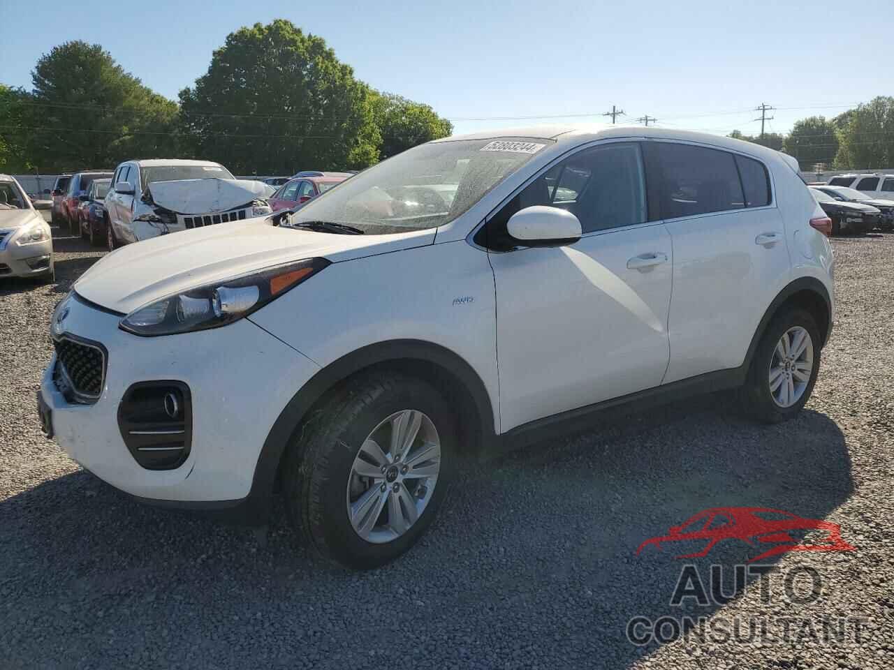 KIA SPORTAGE 2017 - KNDPMCAC2H7096648