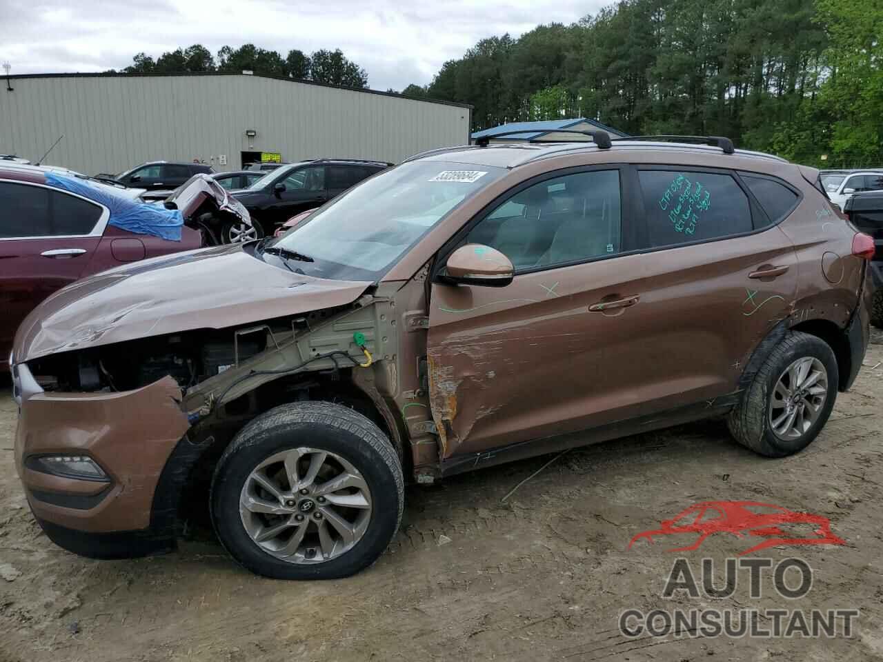 HYUNDAI TUCSON 2017 - KM8J33A43HU422410