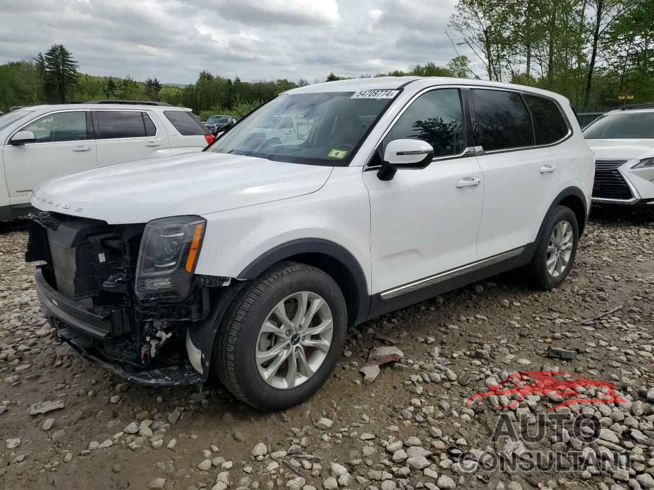 KIA TELLURIDE 2022 - 5XYP2DHC1NG197986