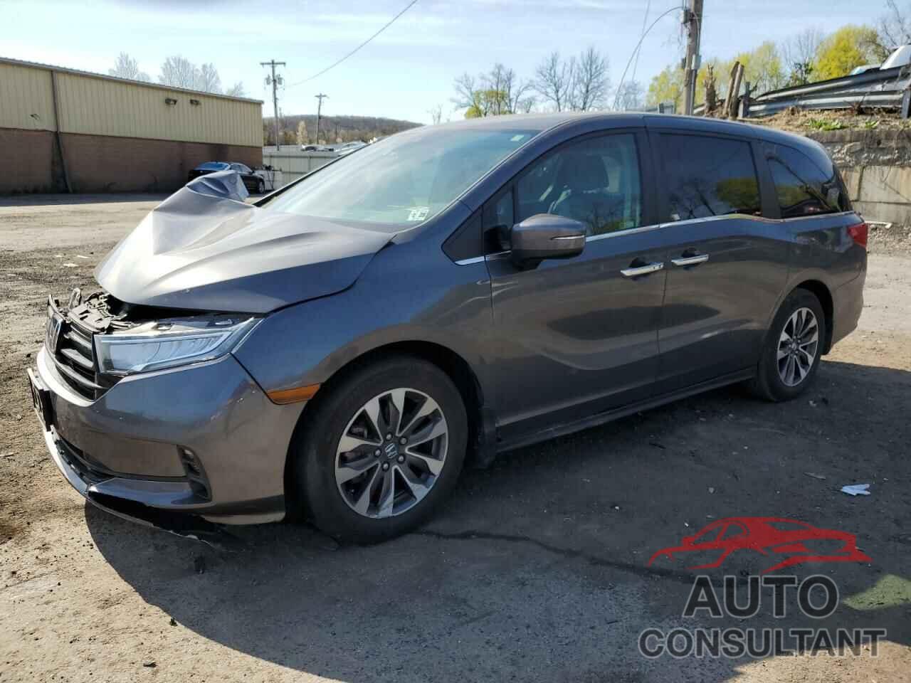 HONDA All Models 2023 - 5FNRL6H64PB032679
